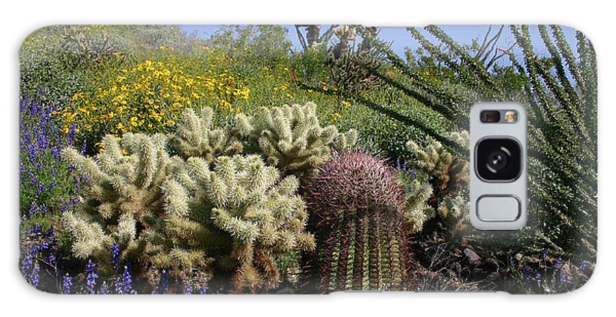 Desert Galaxy Case featuring the photograph Desert Cholla - Spring Wildflowers by Gene Taylor