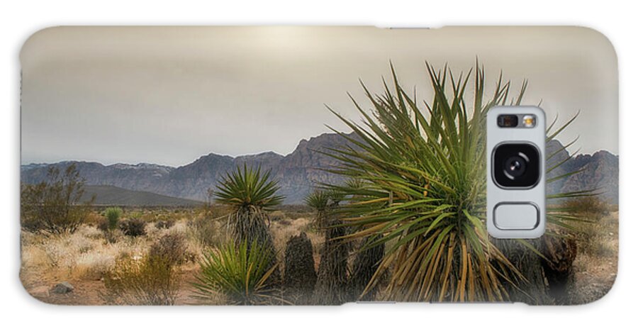 Sunset Galaxy Case featuring the photograph Desert Mountains with Yucca Plant by Frank Wilson