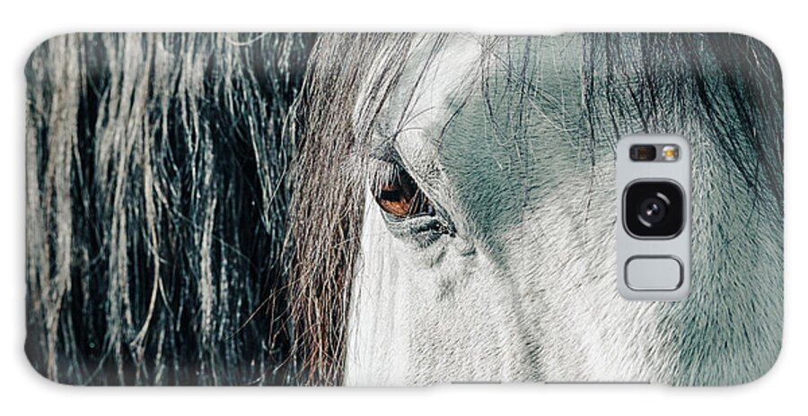 Beauty In Nature Galaxy Case featuring the photograph Details of horse's head by Benoit Bruchez