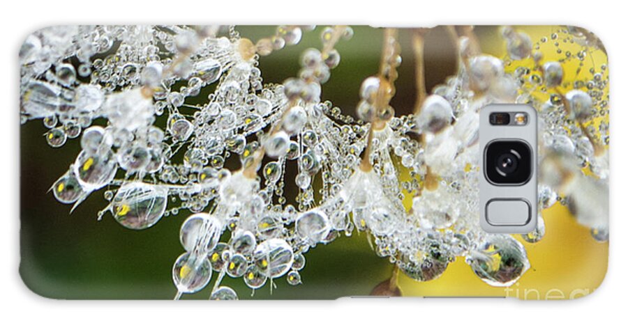 Closeup Galaxy Case featuring the photograph Dewy Diamond Dandelion 6 of 12 by Cheryl McClure