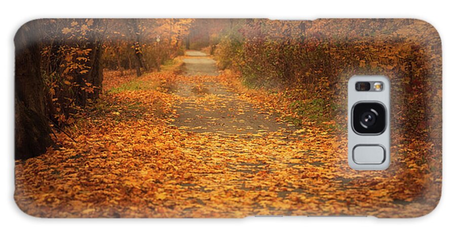 D&l Galaxy Case featuring the photograph DL Trail River Side Road Fall Foliage by Jason Fink