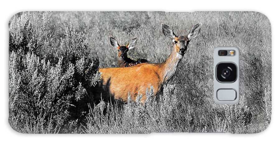 Doe And Fawn Galaxy Case featuring the digital art Doe and fawn by Fred Loring