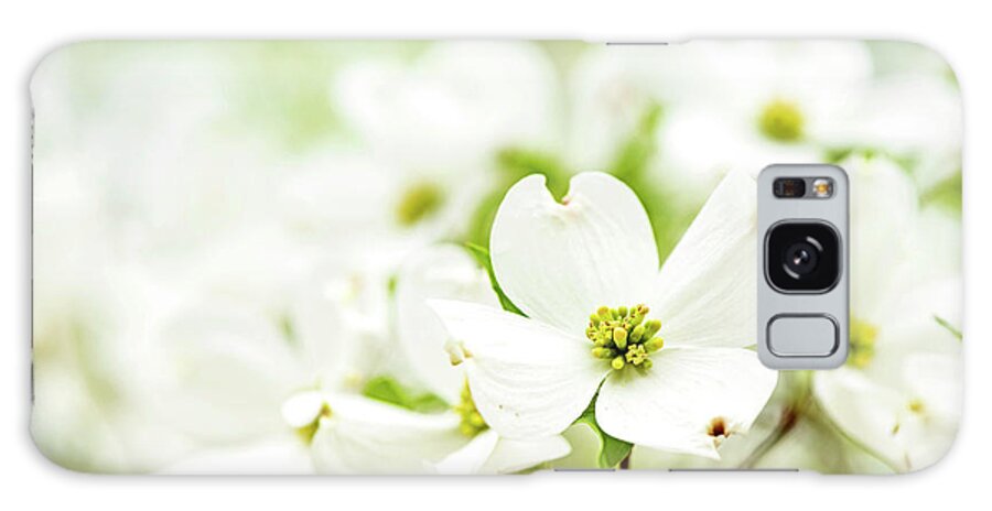 Dogwood Galaxy Case featuring the photograph Dogwood by Linda Shannon Morgan