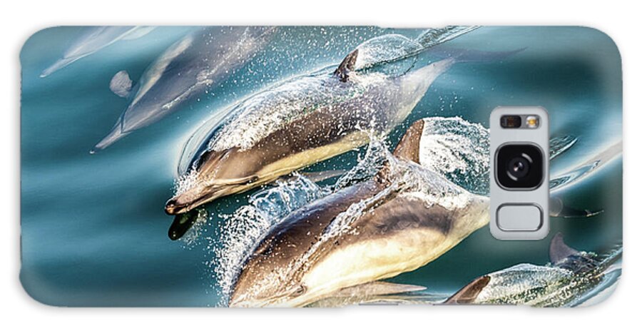  Galaxy Case featuring the photograph Dolphin Pod by Kelly VanDellen