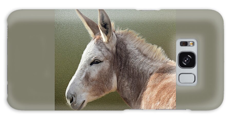 Sold Galaxy Case featuring the photograph Donkey Portrait - Square by Linda Brittain