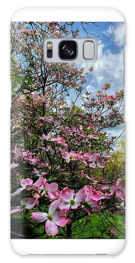 Spring Blossom Trees Dogwoods Galaxy Case featuring the photograph Donna Dogwood by Ruben Carrillo
