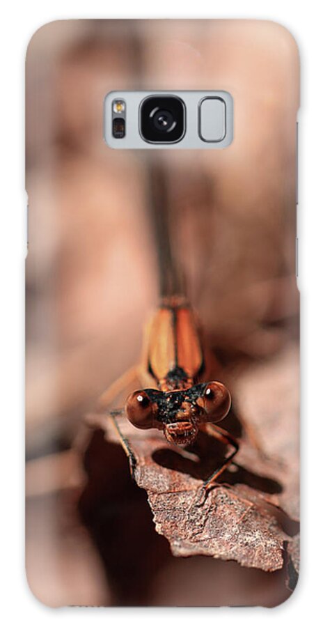 Mountain Galaxy Case featuring the photograph Dragon Fly Doug by Go and Flow Photos