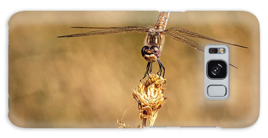 Dragonfly Galaxy Case featuring the photograph Dragonfly 2 by James Sage