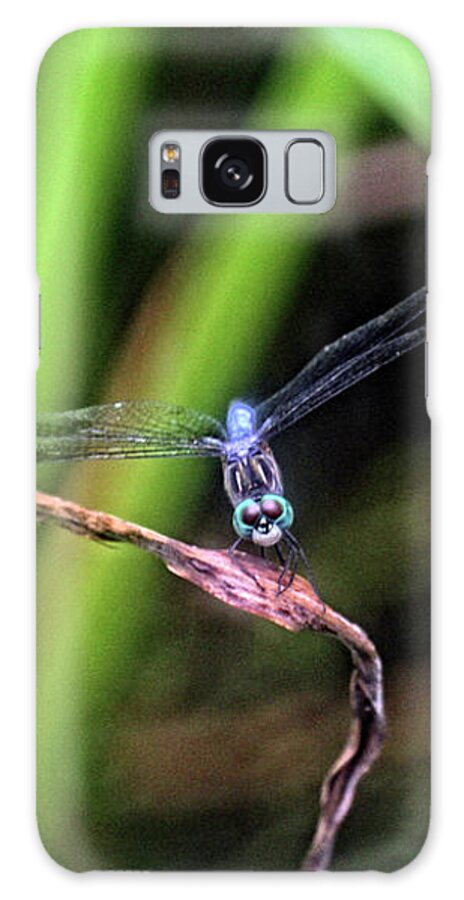 Dragonfly Galaxy Case featuring the photograph Dragonfly in Central Park #34 by Patricia Youngquist