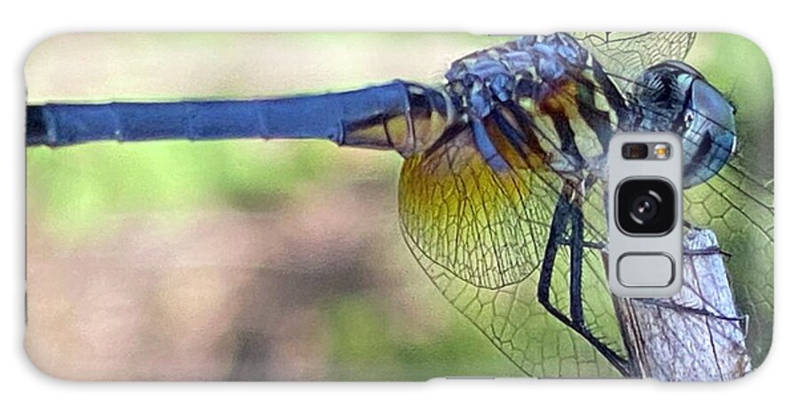 Dragonfly Legend Galaxy Case featuring the photograph Dragonfly Visiting Clayton NC by Catherine Ludwig Donleycott