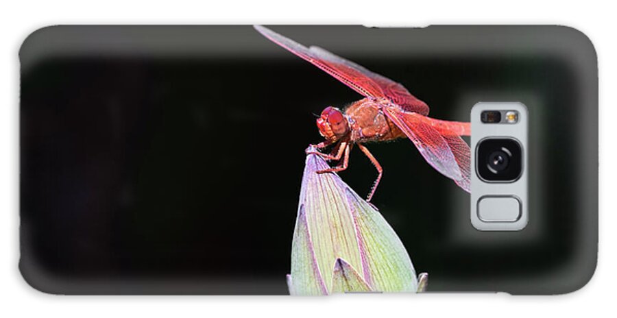 Lotus Galaxy Case featuring the photograph Dragonfly on Lotus Flower by Gary Geddes
