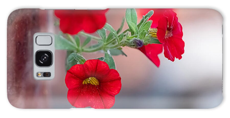 Flower Galaxy Case featuring the photograph Draped in Red by Linda Bonaccorsi