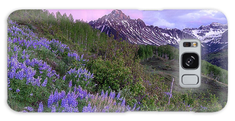 Lupine Galaxy Case featuring the photograph Dreaming by Angela Moyer