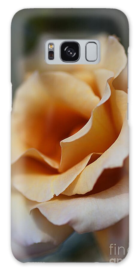 Julia's Rose Flower Galaxy Case featuring the photograph Dreaming Coffee Rose by Joy Watson