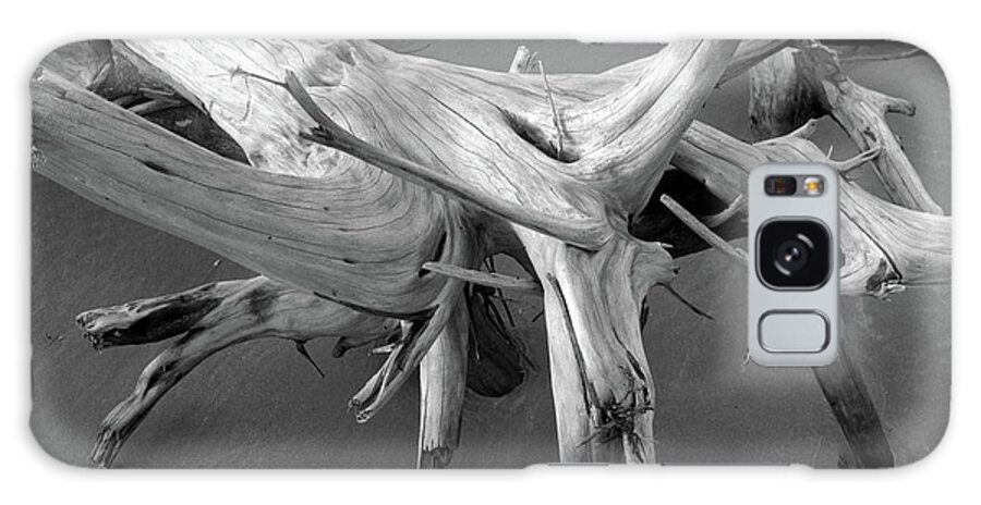 Beach Galaxy Case featuring the photograph Driftwood 2, Big Talbot Island by John Simmons