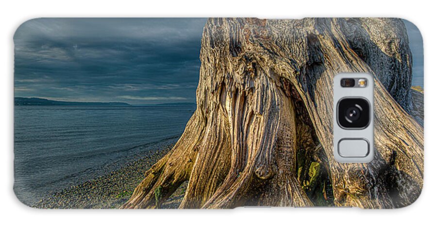 Driftwood Galaxy Case featuring the photograph Driftwood in the Sunset by Tommy Farnsworth