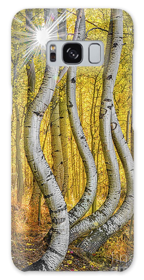 Aspen Galaxy Case featuring the photograph Dryad Dance by Melissa Lipton