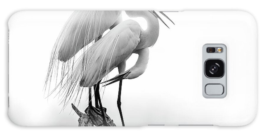 Great Egret Galaxy Case featuring the photograph Made for Each Other by Puttaswamy Ravishankar