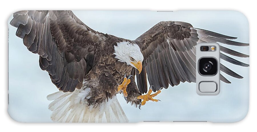 Eagle Galaxy Case featuring the photograph Eagle In the Clouds by CR Courson