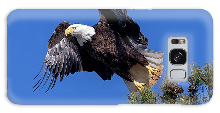 Bald Eagle Galaxy Case featuring the photograph Eagle Lift Off by Alan Raasch