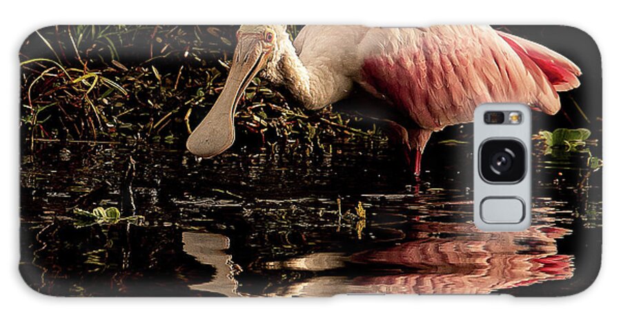 Morning Galaxy Case featuring the photograph Early Morning Spoonbill by Don Durfee