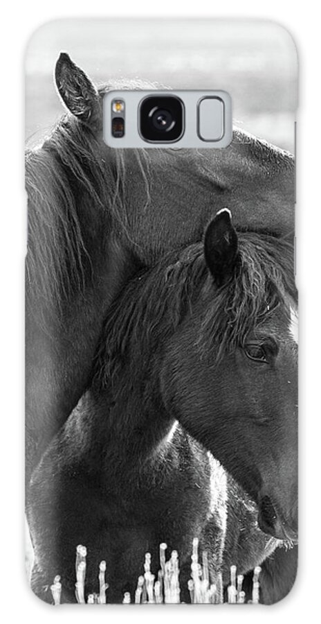 Horses Galaxy Case featuring the photograph Easy Friends by Mary Hone