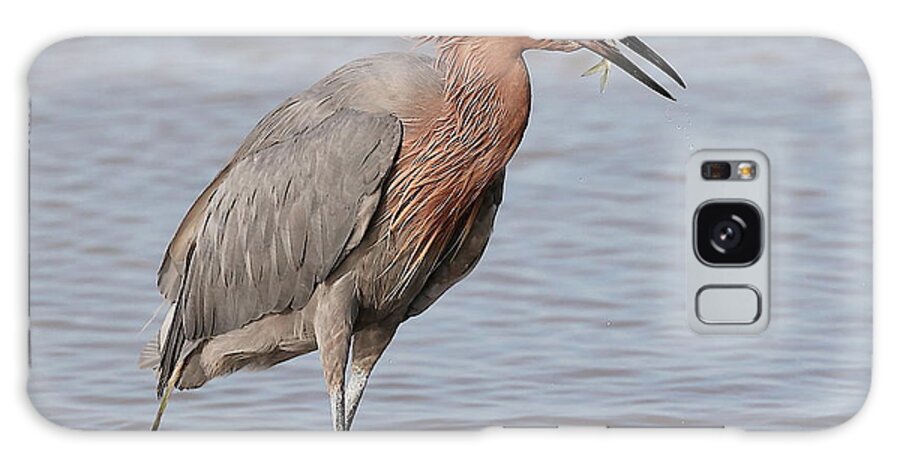 Reddish Egret Galaxy S8 Case featuring the photograph Eating a Fish May Need Greater Efforts by Mingming Jiang