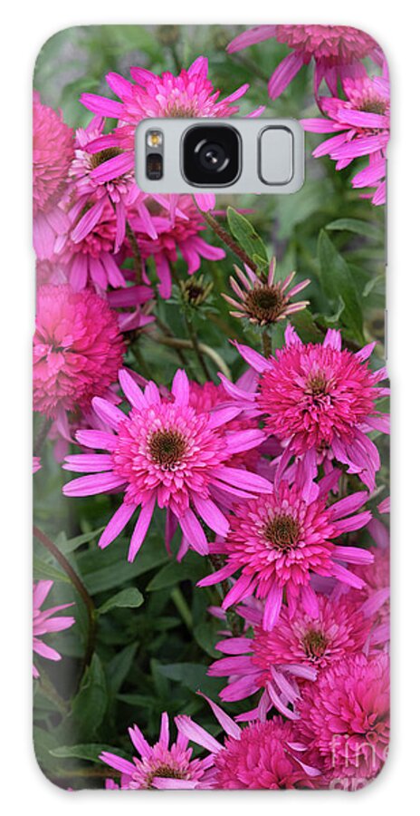 Echinacea Galaxy Case featuring the photograph Echinacea Purpurea Southern Belle Flowers in an English Garden by Tim Gainey