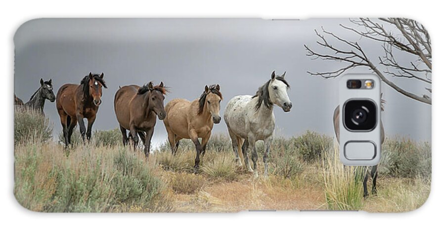 Horse Galaxy Case featuring the photograph Elegant Lines by Kent Keller