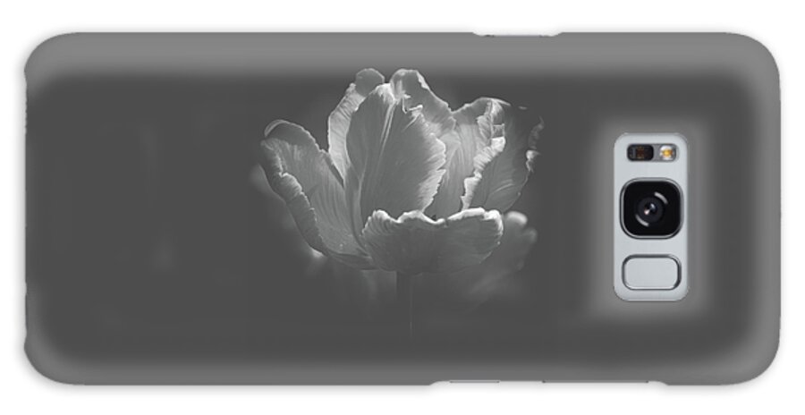 Art Galaxy Case featuring the photograph Elegant Tulip Black and White by Joan Han