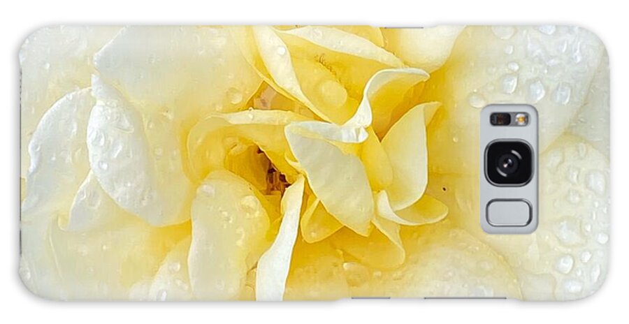 Macro Galaxy Case featuring the photograph Elegant White Rose by Jerry Abbott