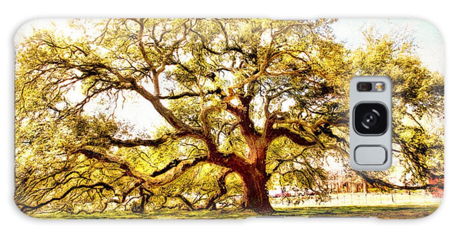  Emancipation Oak Galaxy Case featuring the photograph Emancipation Tree at Hampton University by Ola Allen