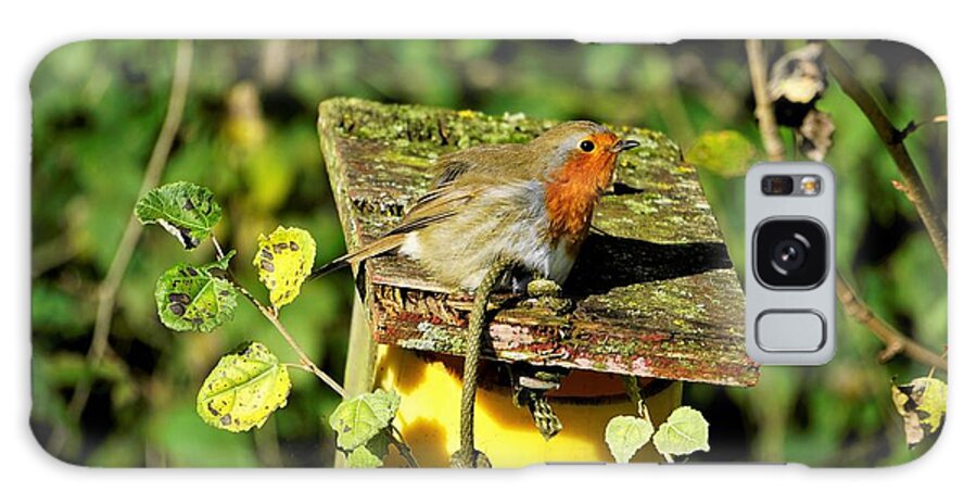 Robin Galaxy Case featuring the photograph English Robin On A Birdhouse by Tranquil Light Photography