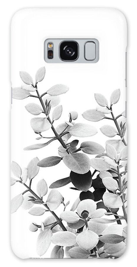 Black-and-white Galaxy Case featuring the mixed media Eucalyptus Leaves Black and White Vibes #1 #foliage #decor #art by Anitas and Bellas Art