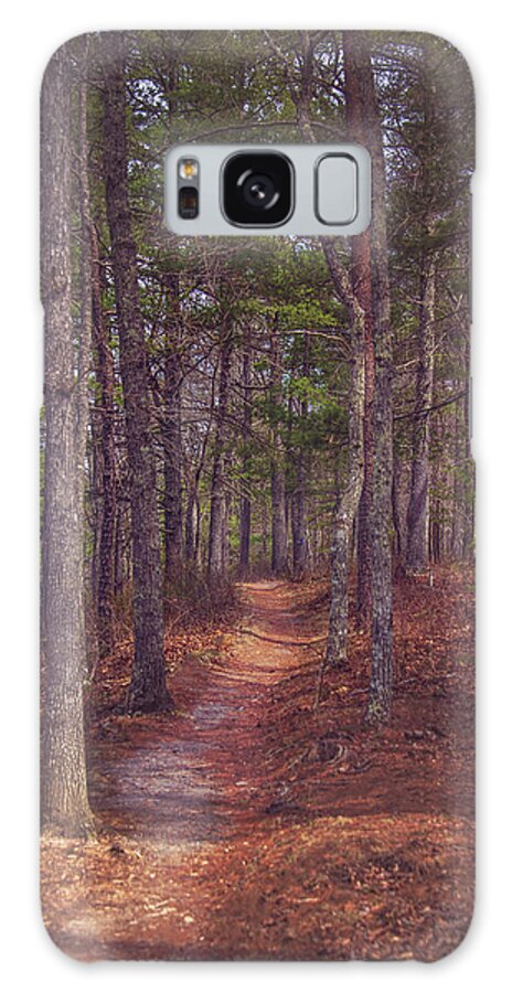 Forest Galaxy Case featuring the photograph Evening Stroll by Tricia Louque