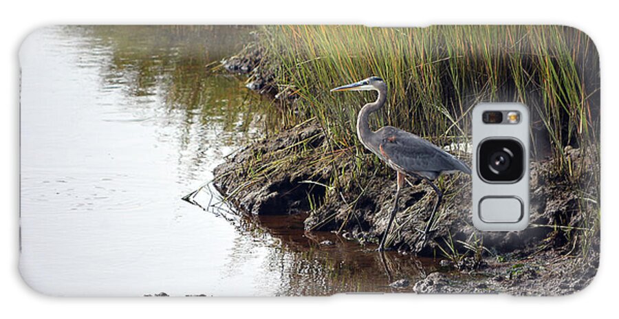 Great Blue Heron Galaxy Case featuring the photograph Exit the Great Blue Heron by Dianne Morgado