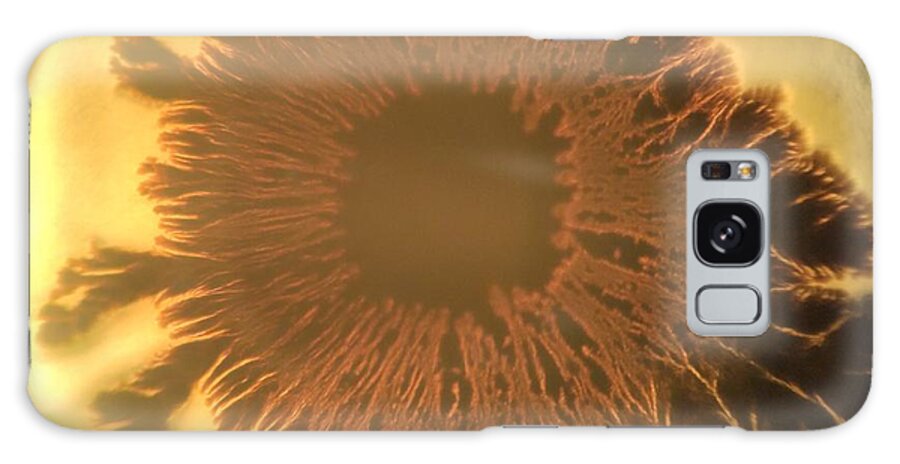 Bacteria Galaxy Case featuring the photograph Eye Shaped Bacteria Colony Under The Microscope by Chirila Corina