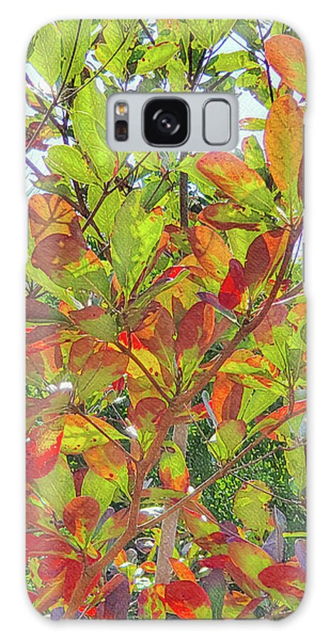 Landscape Galaxy Case featuring the mixed media Fall Color Along the Coast by Sharon Williams Eng
