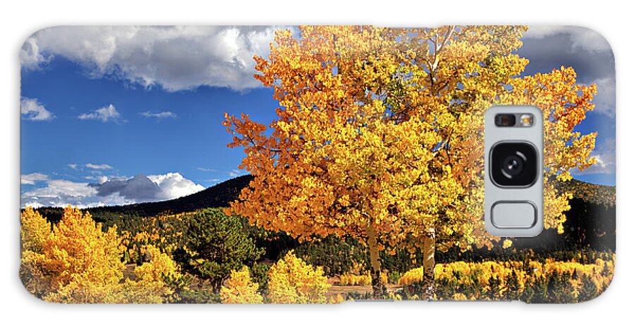 Aspens Galaxy Case featuring the photograph Fall Colors by Bob Falcone