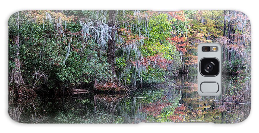 Fall Galaxy Case featuring the photograph Fall Colors in the Swamp by WAZgriffin Digital
