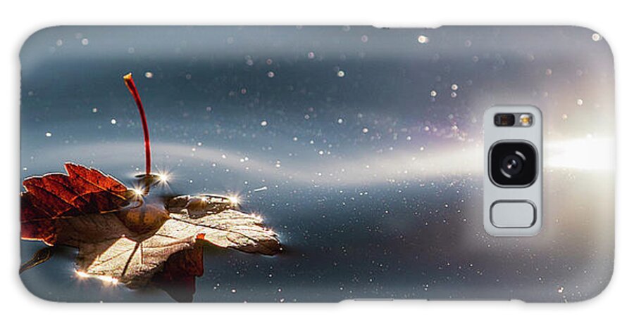 Autumn Galaxy Case featuring the photograph Fall Leaf Floating by Rachel Morrison