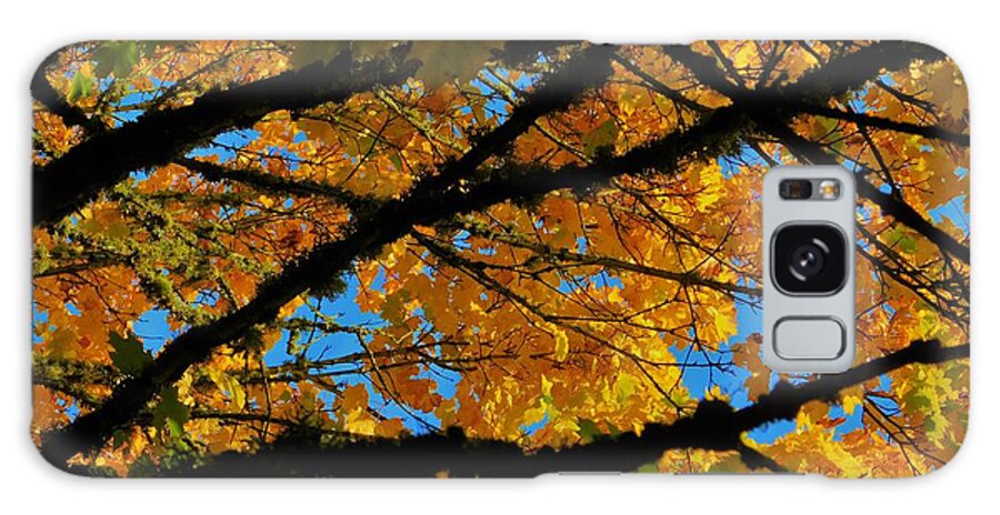 - Fall Moss And Maple Galaxy Case featuring the photograph - Fall Moss and Maple by THERESA Nye