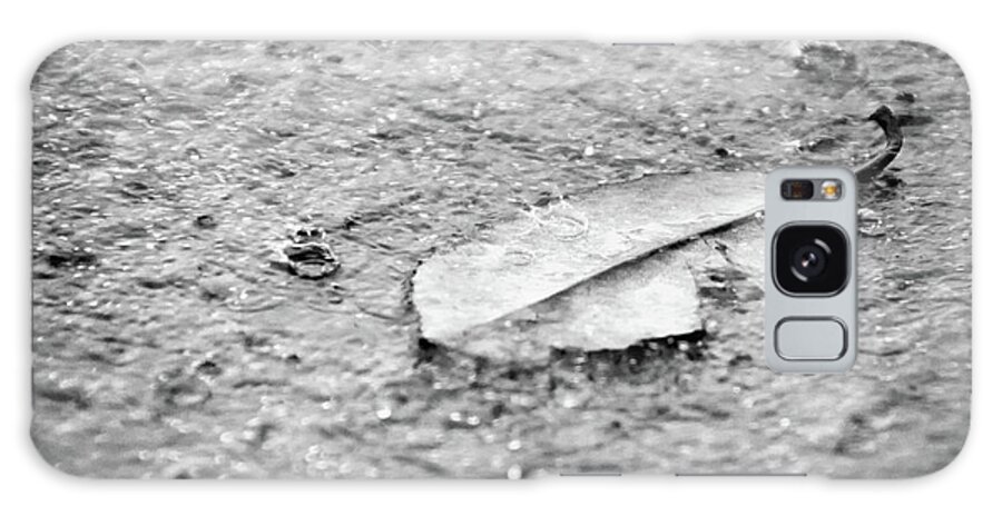Botanical Galaxy Case featuring the photograph Fallen Leaf in the Rain in Black and White Botanical / Nature Photograph by PIPA Fine Art - Simply Solid