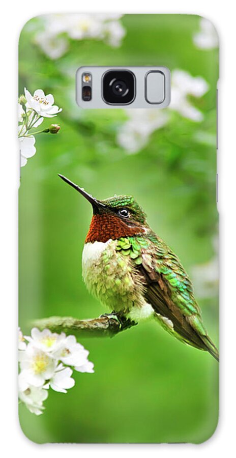 Hummingbird Galaxy Case featuring the photograph Fauna and Flora - Hummingbird with Flowers by Christina Rollo