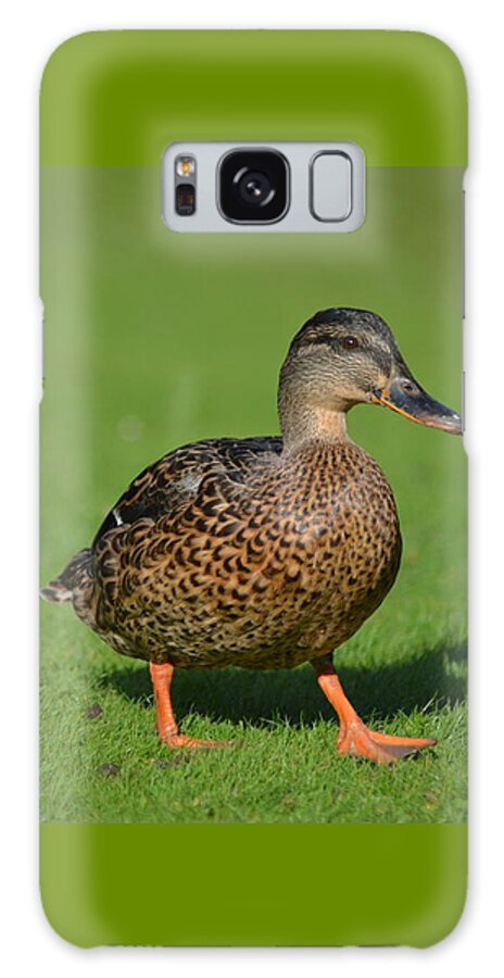 Female Galaxy Case featuring the photograph Female Strut by Neil R Finlay