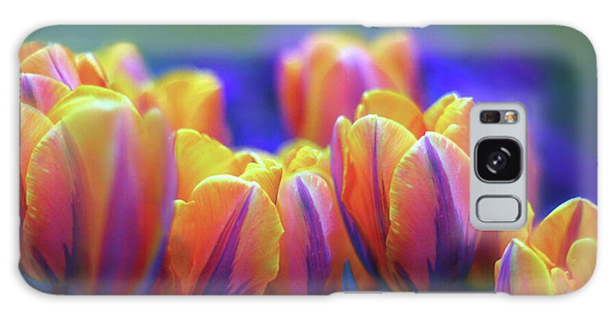 Tulips Galaxy Case featuring the photograph Festival of Color by Jessica Jenney