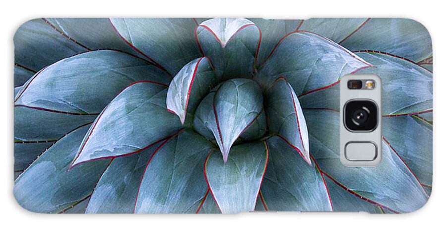 Agave Galaxy Case featuring the photograph Fire and Ice by Gary Geddes