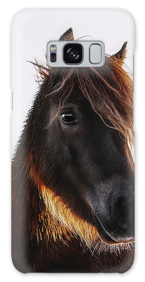 Photographs Galaxy Case featuring the photograph Firefly - Horse Art by Lisa Saint