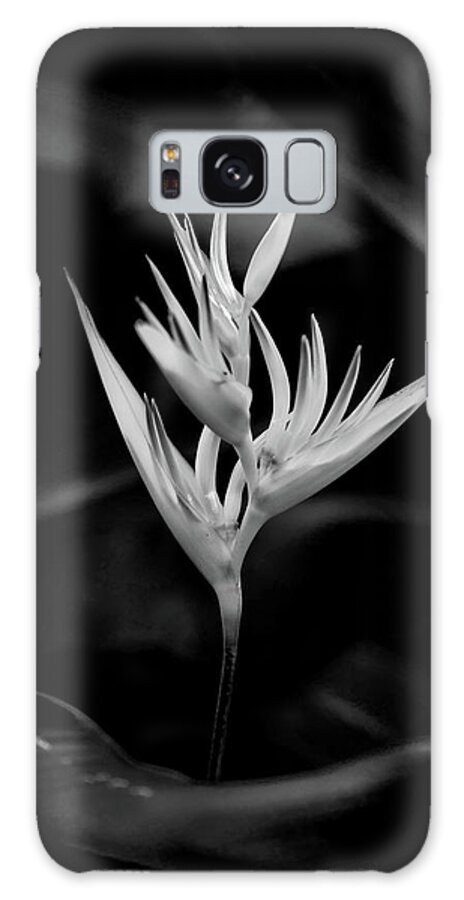 Beautiful Black And White Flower Galaxy Case featuring the photograph Flamenco Dancer by Az Jackson