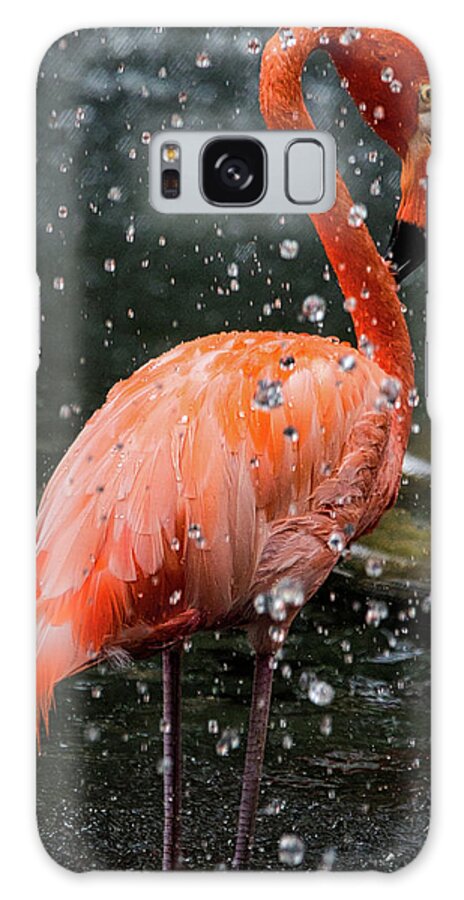 Bird Galaxy Case featuring the photograph Flamingo In Water by Rene Vasquez